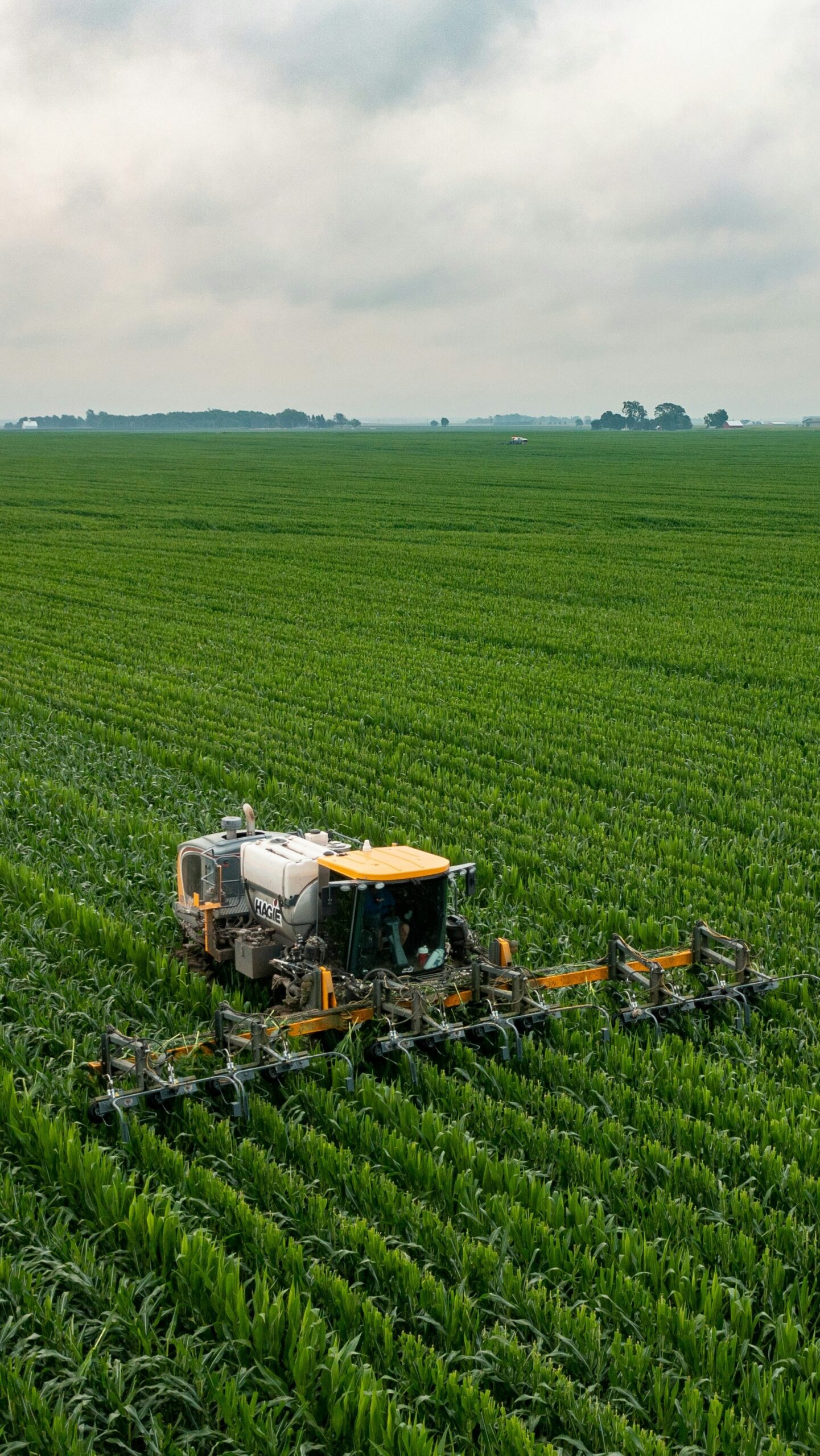 james-baltz-YbBWmI4hZys-unsplash_cropped_processed_by_imagy (1)